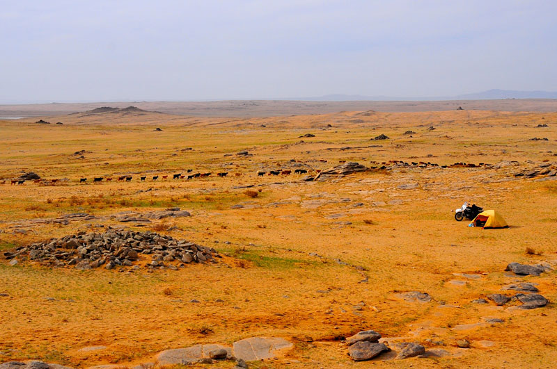 Mongolie